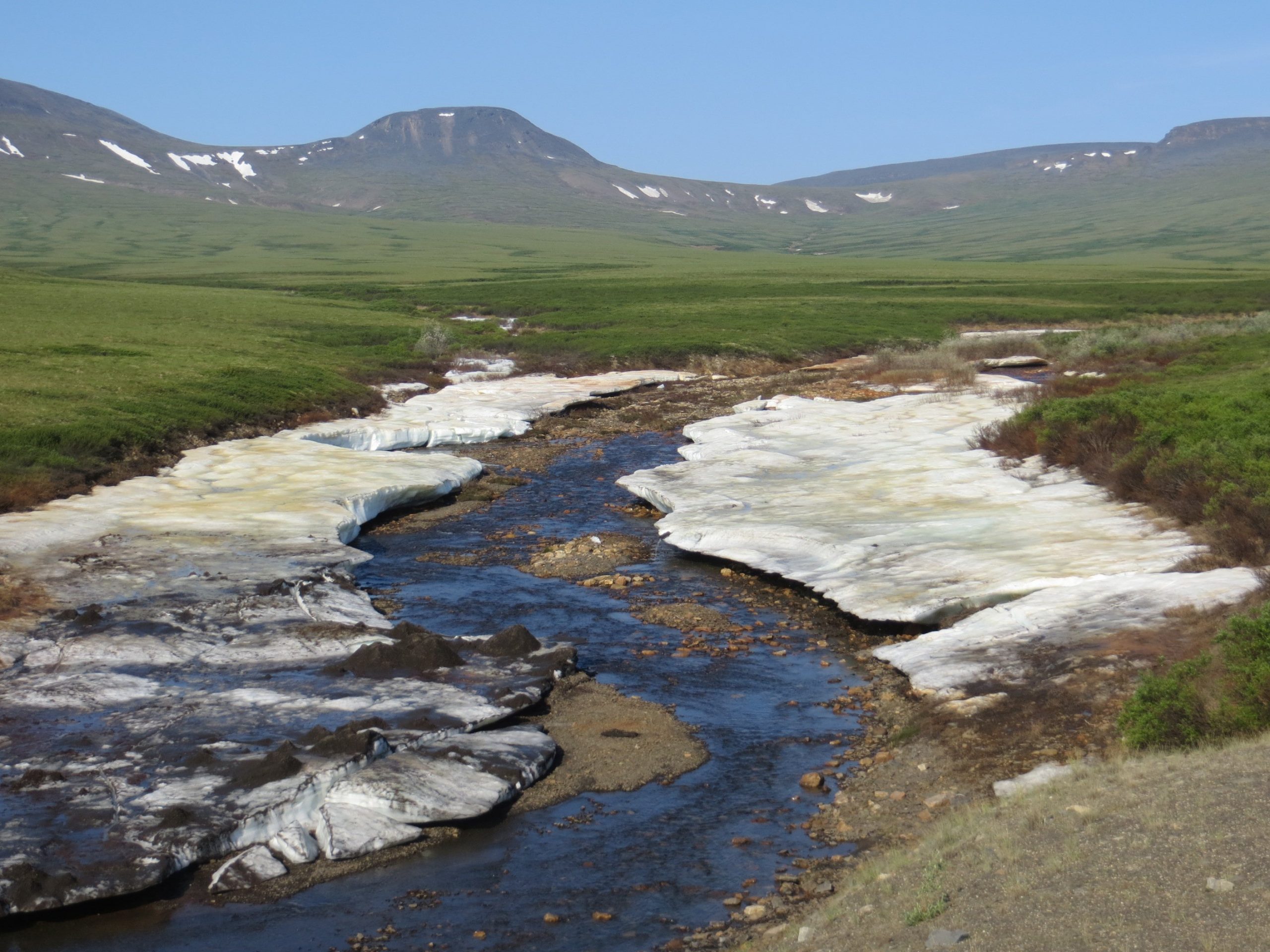 Arctic river landscape